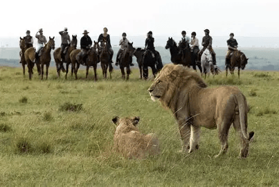 Horseback safari — riders on the plains with lions in view
