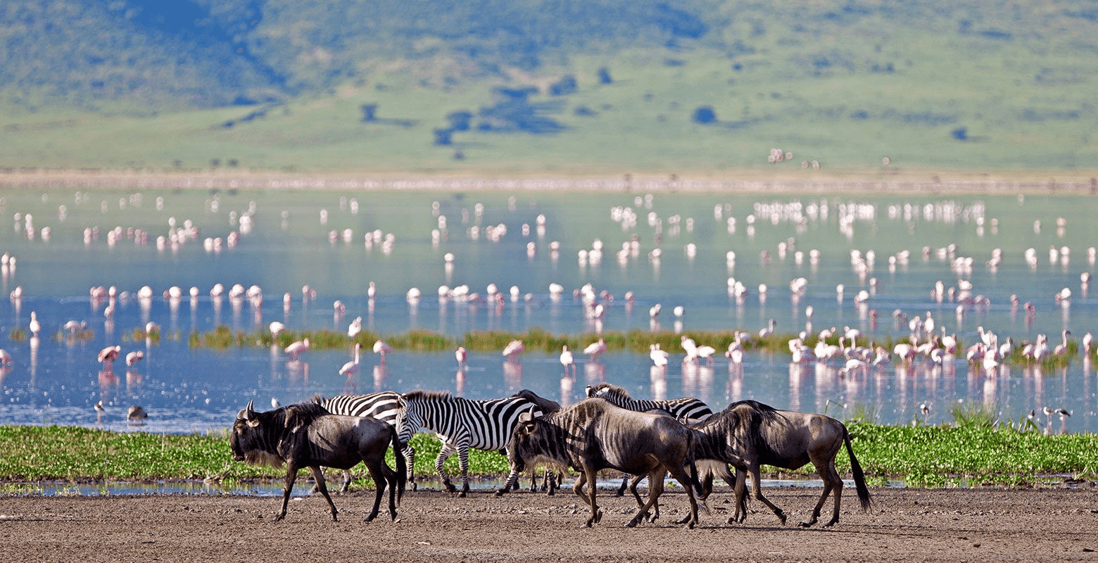 Lake Manyara