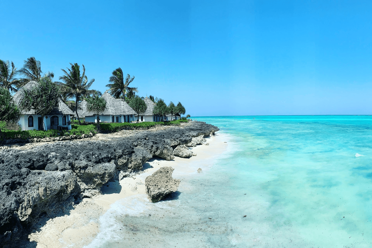 Zanzibar — coast, Stone Town mood, and Indian Ocean colour